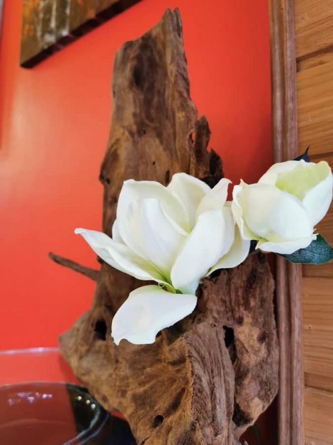 My Home Apartment - Villa Dahlia Apartment Cao nguyên Cameron Ngoại thất bức ảnh